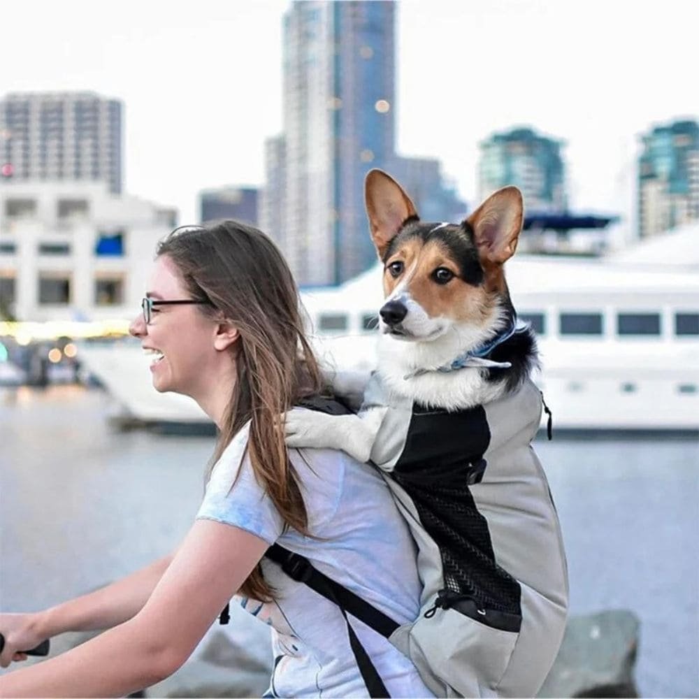 Bien choisir son sac de transport pour son animal : conseils pratiques