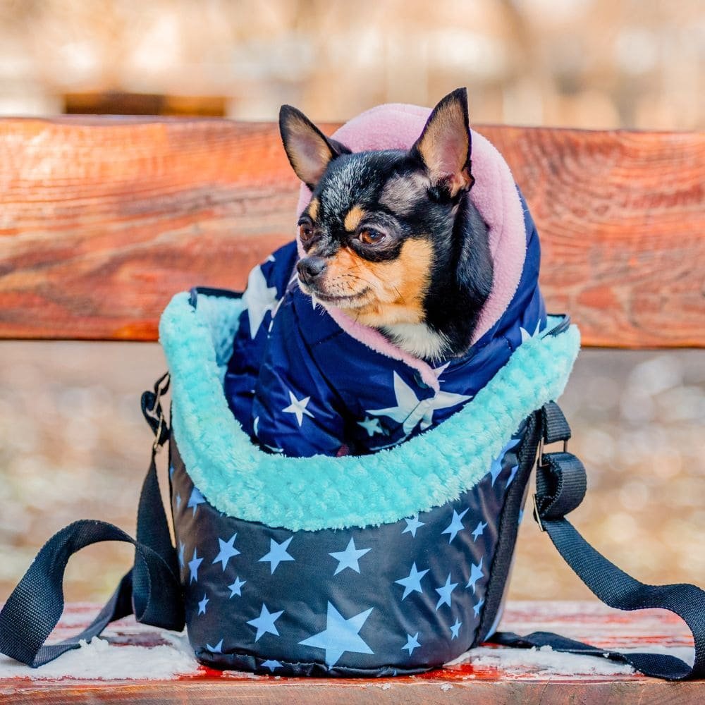 Quel est le meilleur sac ventral pour chien ?