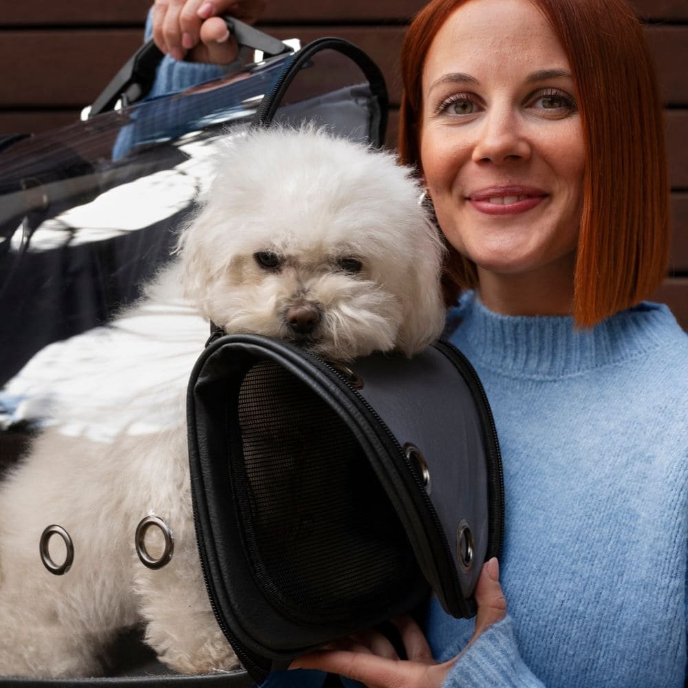 Quel est le meilleur sac ventral pour chien ?